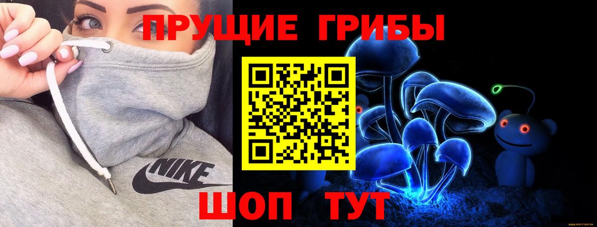 Лянтор  Галлюциногенные грибы Cubensis  Вход с VPN 