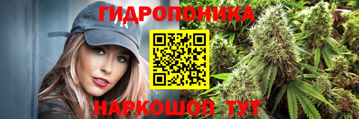 Конопля LSD WEED Лянтор